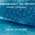 CURACAO   16.3.-28.3.2018,  pod hladinou